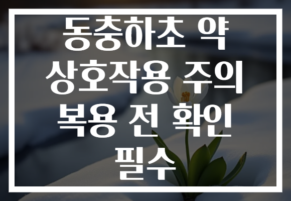 동충하초 약 상호작용 주의 복용 전 확인 필수