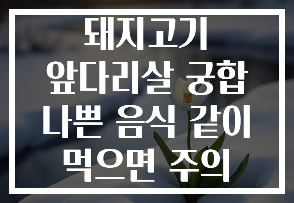 돼지고기 앞다리살 궁합 나쁜 음식 같이 먹으면 주의