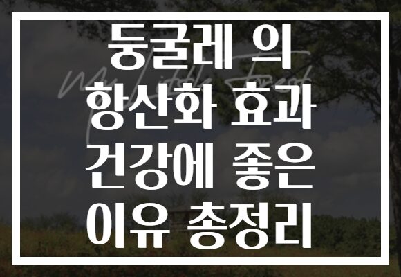 둥굴레 의 항산화 효과 건강에 좋은 이유 총정리