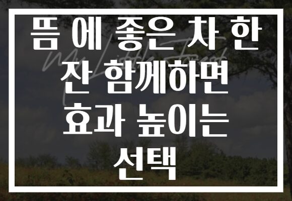 뜸 에 좋은 차 한 잔 함께하면 효과 높이는 선택