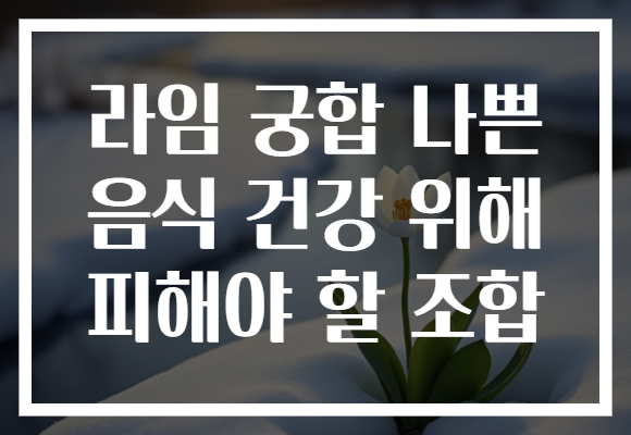 라임 궁합 나쁜 음식 건강 위해 피해야 할 조합