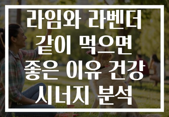 라임와 라벤더 같이 먹으면 좋은 이유 건강 시너지 분석