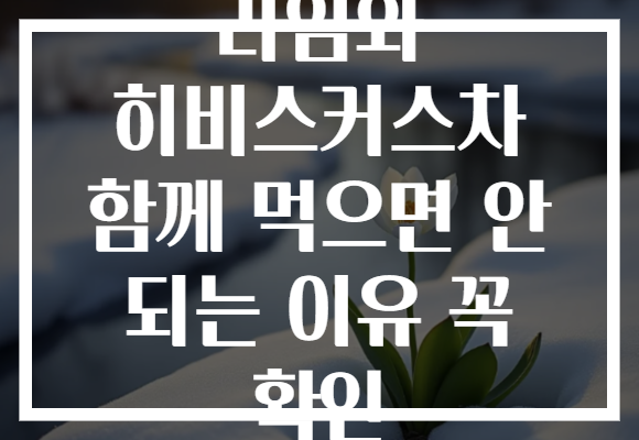 라임와 히비스커스차 함께 먹으면 안 되는 이유 꼭 확인