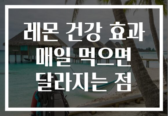 레몬 건강 효과 매일 먹으면 달라지는 점