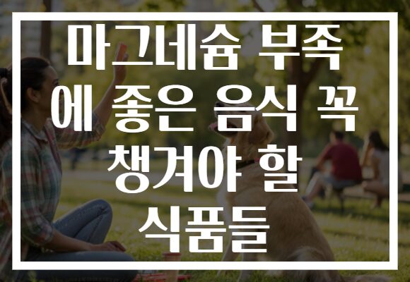 마그네슘 부족 에 좋은 음식 꼭 챙겨야 할 식품들
