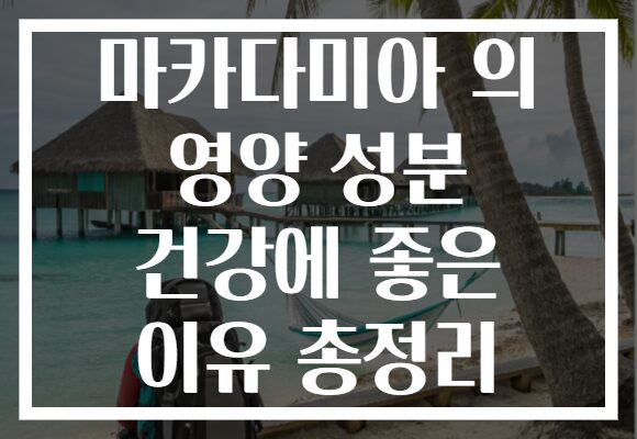 마카다미아 의 영양 성분 건강에 좋은 이유 총정리