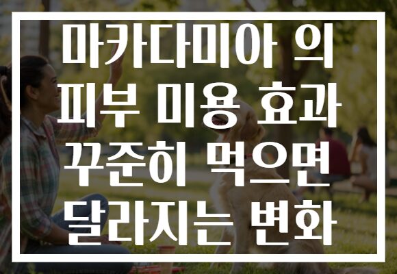 마카다미아 의 피부 미용 효과 꾸준히 먹으면 달라지는 변화