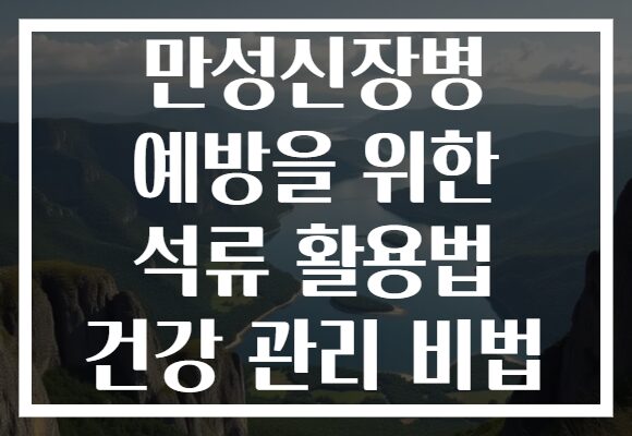 만성신장병 예방을 위한 석류 활용법 건강 관리 비법