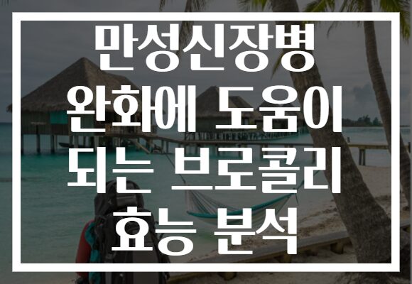 만성신장병 완화에 도움이 되는 브로콜리 효능 분석