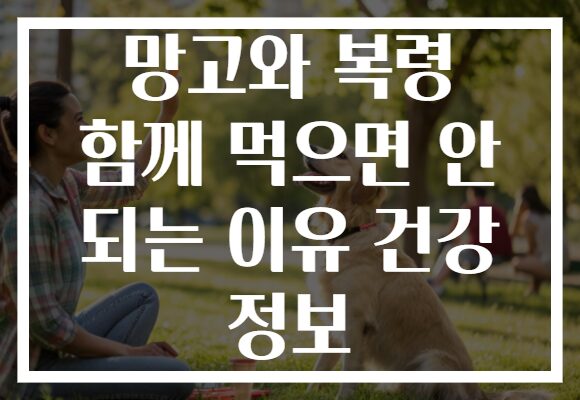 망고와 복령 함께 먹으면 안 되는 이유 건강 정보