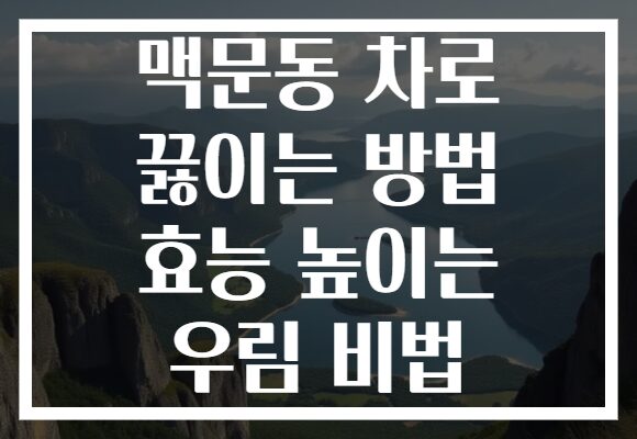 맥문동 차로 끓이는 방법 효능 높이는 우림 비법