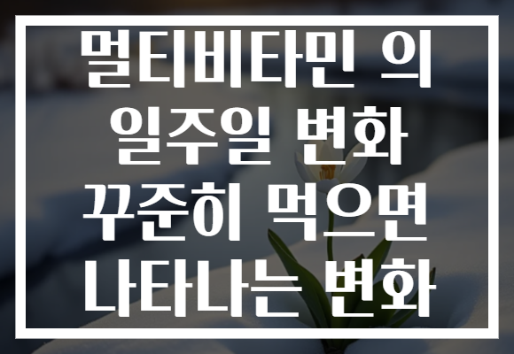 멀티비타민 의 일주일 변화 꾸준히 먹으면 나타나는 변화