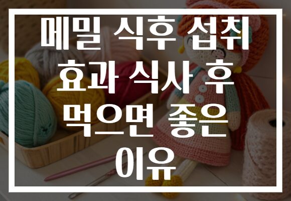 메밀 식후 섭취 효과 식사 후 먹으면 좋은 이유