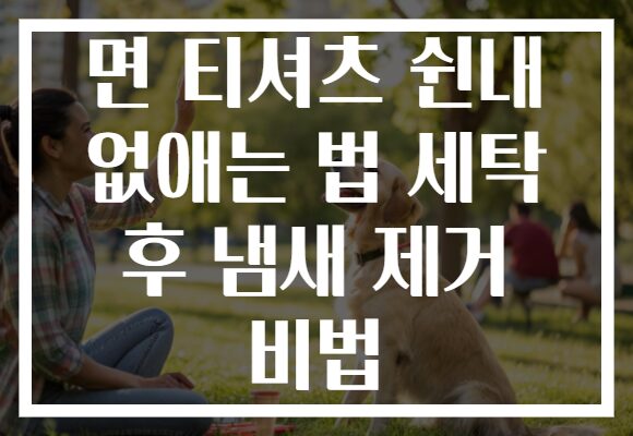 면 티셔츠 쉰내 없애는 법 세탁 후 냄새 제거 비법