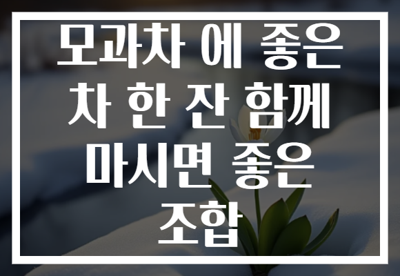 모과차 에 좋은 차 한 잔 함께 마시면 좋은 조합