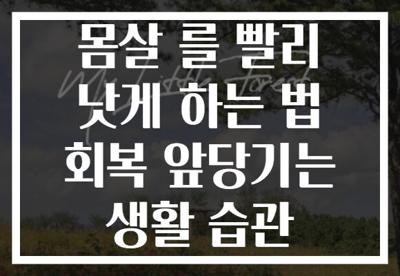 몸살 를 빨리 낫게 하는 법 회복 앞당기는 생활 습관