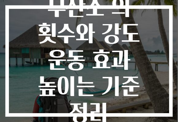 무산소 의 횟수와 강도 운동 효과 높이는 기준 정리