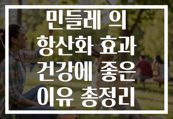 민들레 의 항산화 효과 건강에 좋은 이유 총정리