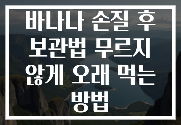 바나나 손질 후 보관법 무르지 않게 오래 먹는 방법