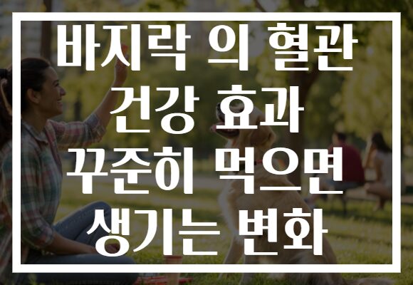 바지락 의 혈관 건강 효과 꾸준히 먹으면 생기는 변화