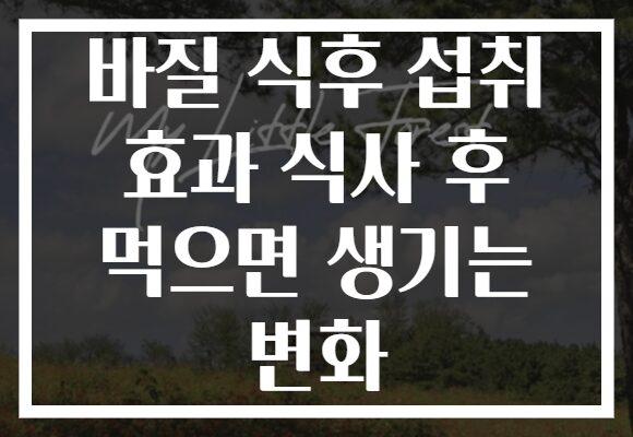 바질 식후 섭취 효과 식사 후 먹으면 생기는 변화
