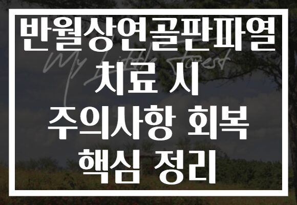 반월상연골판파열 치료 시 주의사항 회복 핵심 정리
