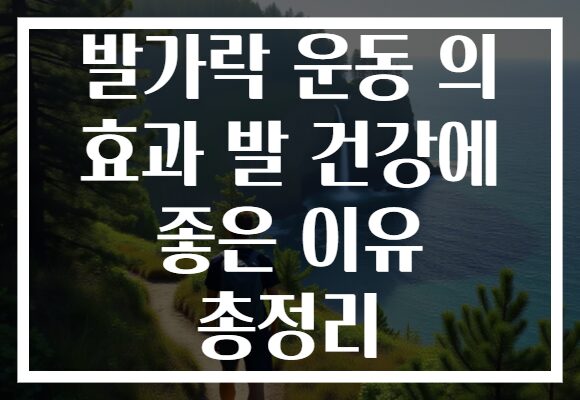 발가락 운동 의 효과 발 건강에 좋은 이유 총정리