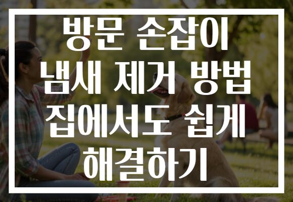 방문 손잡이 냄새 제거 방법 집에서도 쉽게 해결하기