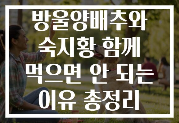 방울양배추와 숙지황 함께 먹으면 안 되는 이유 총정리