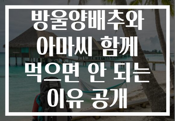 방울양배추와 아마씨 함께 먹으면 안 되는 이유 공개