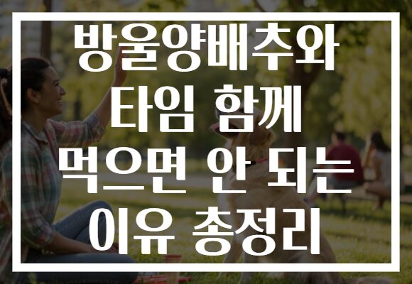 방울양배추와 타임 함께 먹으면 안 되는 이유 총정리