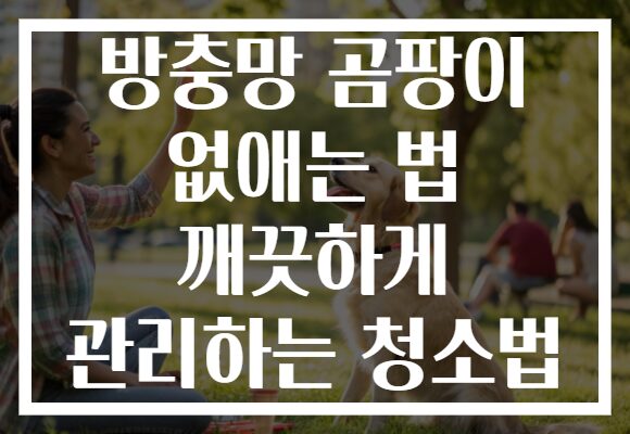 방충망 곰팡이 없애는 법 깨끗하게 관리하는 청소법