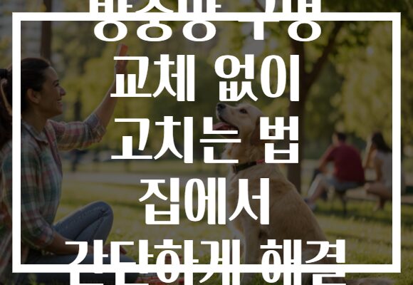 방충망 구멍 교체 없이 고치는 법 집에서 간단하게 해결