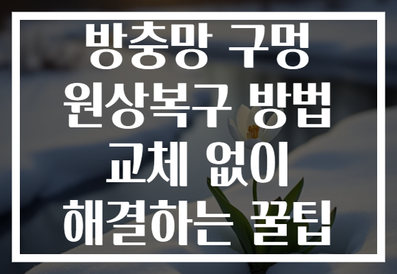 방충망 구멍 원상복구 방법 교체 없이 해결하는 꿀팁