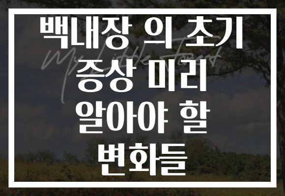백내장 의 초기 증상 미리 알아야 할 변화들
