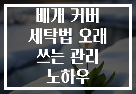 베개 커버 세탁법 오래 쓰는 관리 노하우