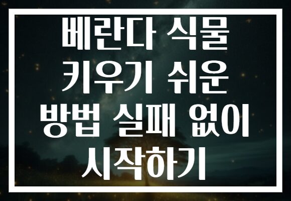 베란다 식물 키우기 쉬운 방법 실패 없이 시작하기