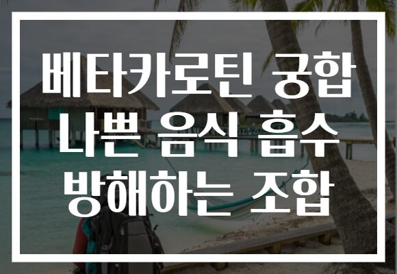 베타카로틴 궁합 나쁜 음식 흡수 방해하는 조합
