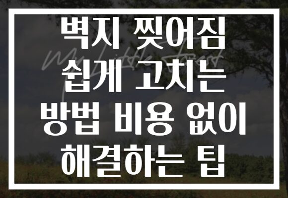 벽지 찢어짐 쉽게 고치는 방법 비용 없이 해결하는 팁