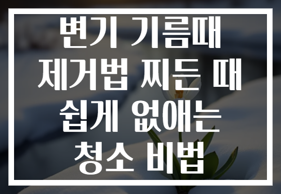 변기 기름때 제거법 찌든 때 쉽게 없애는 청소 비법