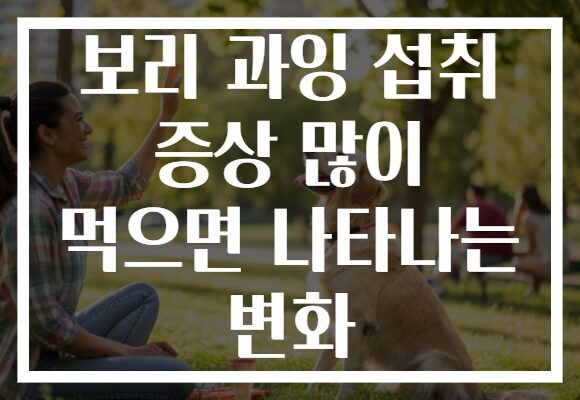 보리 과잉 섭취 증상 많이 먹으면 나타나는 변화