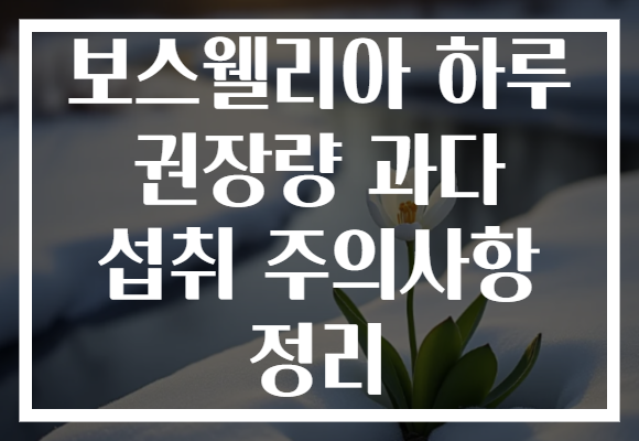 보스웰리아 하루 권장량 과다 섭취 주의사항 정리