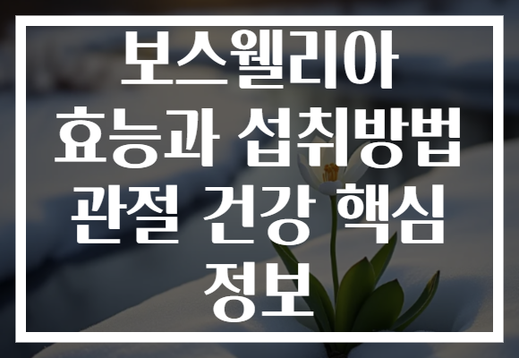 보스웰리아 효능과 섭취방법 관절 건강 핵심 정보