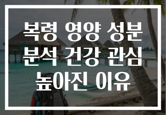 복령 영양 성분 분석 건강 관심 높아진 이유