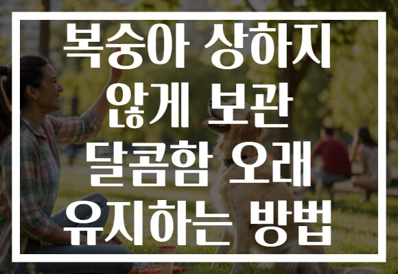 복숭아 상하지 않게 보관 달콤함 오래 유지하는 방법