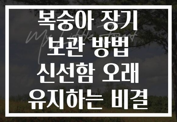 복숭아 장기 보관 방법 신선함 오래 유지하는 비결