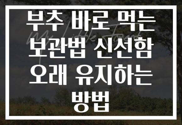 부추 바로 먹는 보관법 신선함 오래 유지하는 방법