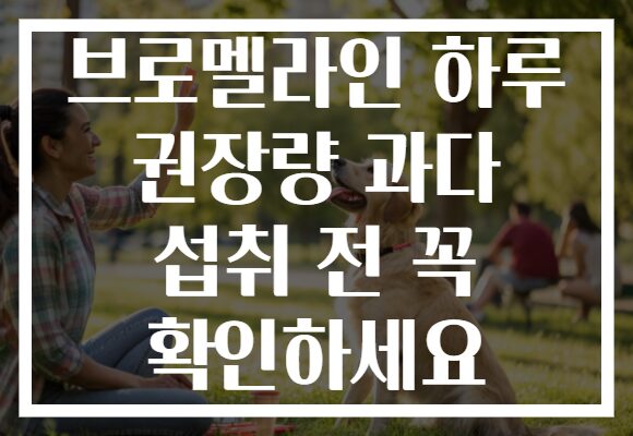브로멜라인 하루 권장량 과다 섭취 전 꼭 확인하세요