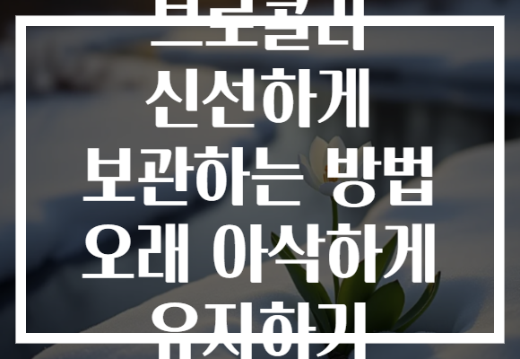 브로콜리 신선하게 보관하는 방법 오래 아삭하게 유지하기