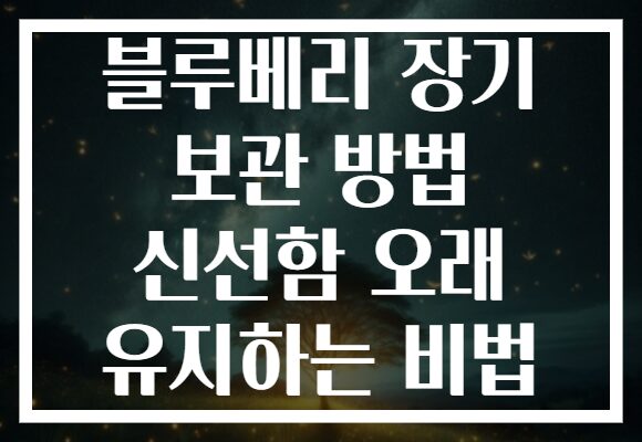 블루베리 장기 보관 방법 신선함 오래 유지하는 비법
